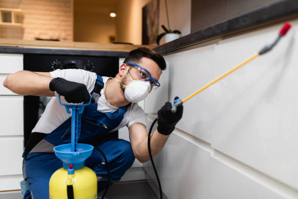 Best Cockroach Control Services  in Shelbyville, KY