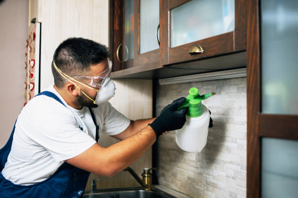 Best Best Pest Control Companies  in Shelbyville, KY