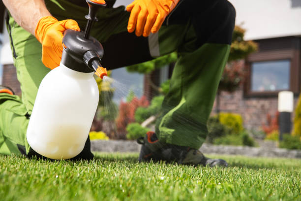 Best Insect Control  in Shelbyville, KY