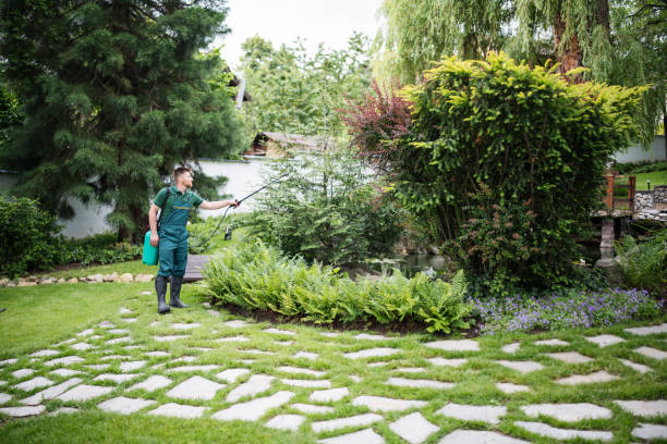 Best Wasp Removal Services  in Shelbyville, KY