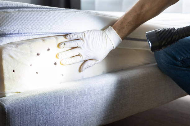 Best Commercial Pest Control Services  in Shelbyville, KY
