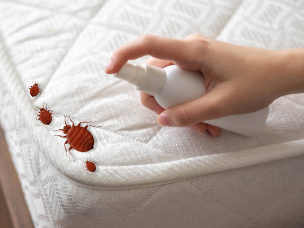 Shelbyville, KY Pest Control Company