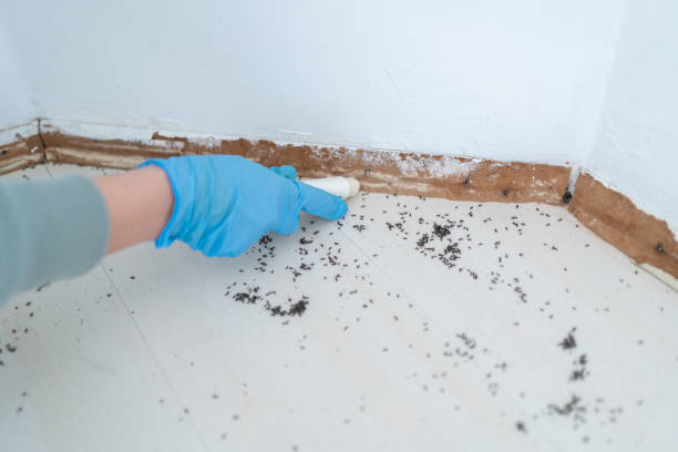 Best Best Pest Control Companies  in Shelbyville, KY