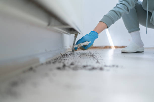 Best Pest Prevention Services  in Shelbyville, KY