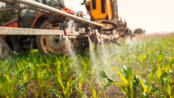 Best Best Pest Control Companies  in Shelbyville, KY
